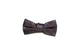 Unique Pattern Silk Bow Tie
