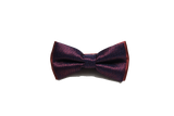 Sangria Color Silk Bow Tie